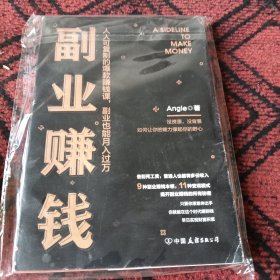副业赚钱（人人可复制的爆款赚钱课，副业也能月入过万）