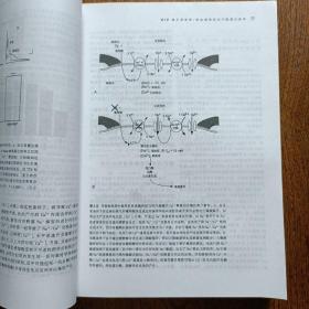 卒中病理生理、诊断及其治疗（第3版）