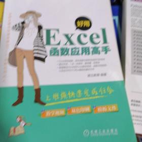 好用 Excel函数应用高手