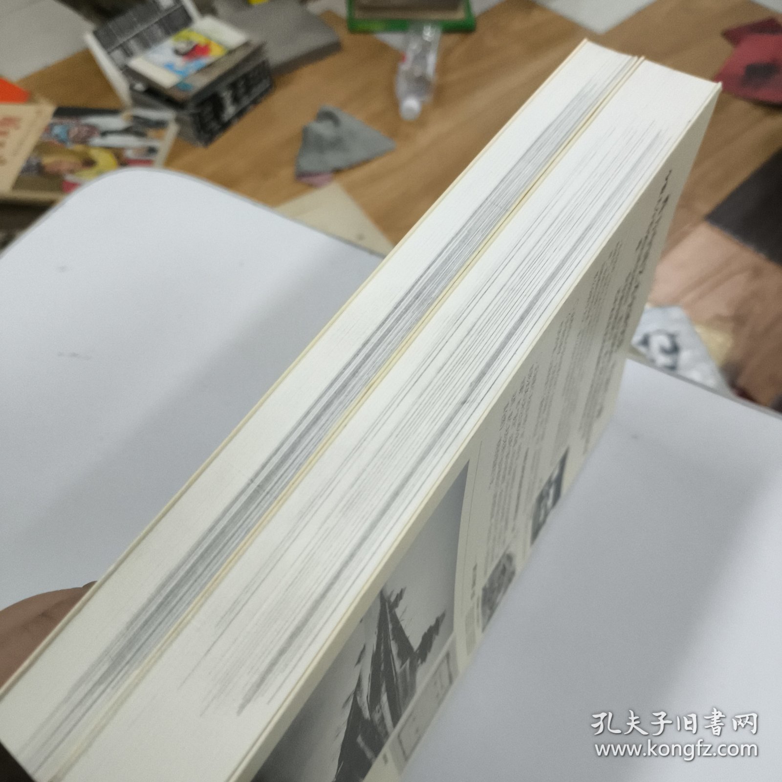 遗失在西方的中国史：老北京皇城写真全图 上下