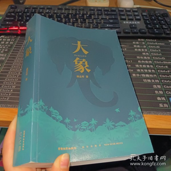 大象（“五个一工程”奖、茅盾文学奖得主、国民级作品《藏獒》作者杨志军zui新力作）