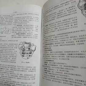 影像断层解剖学