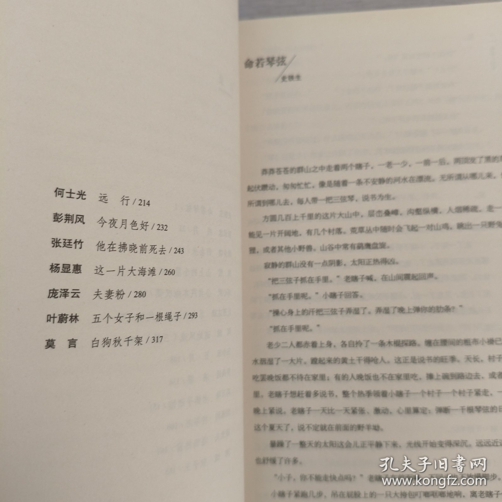 中国当代文学经典必读：1985短篇小说卷