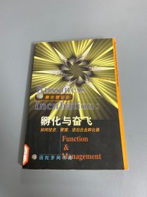 孵化与奋飞:如何投资、管理、进出企业孵化器