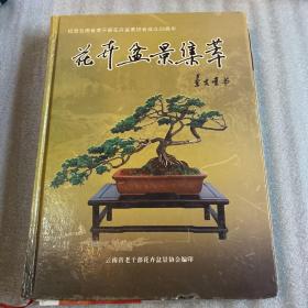 花卉盆景集萃