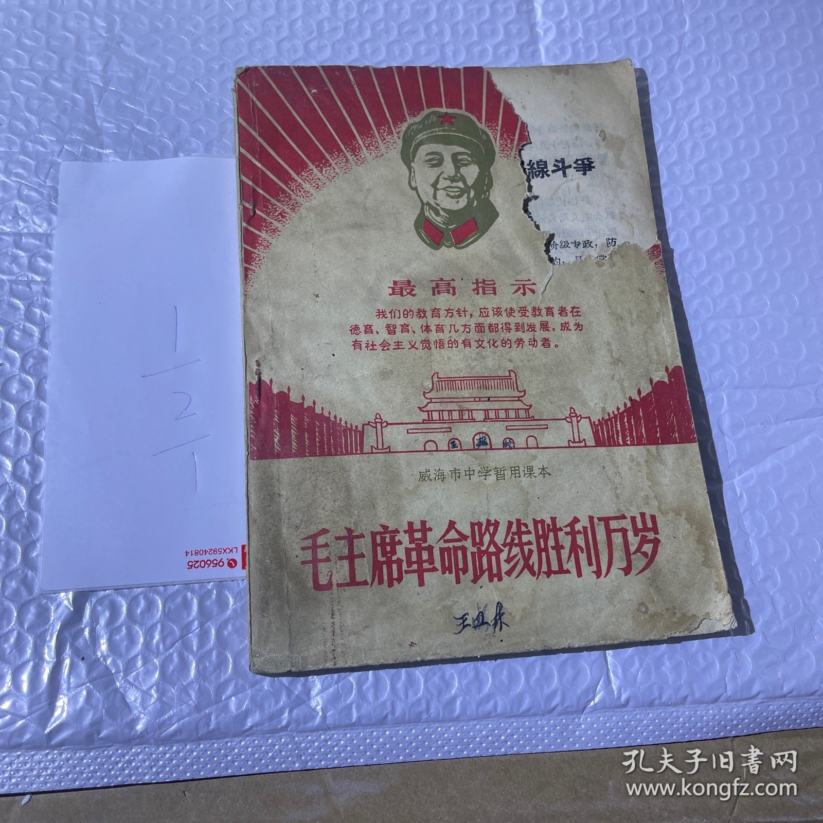 毛主席革命路线胜利万岁