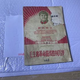 毛主席革命路线胜利万岁
