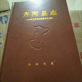 齐河县志（书脊坏点里边全新）