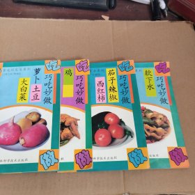 巧吃妙做 軟下水 西紅柿茄子辣椒 雞 大白菜蘿卜土豆 四本合售