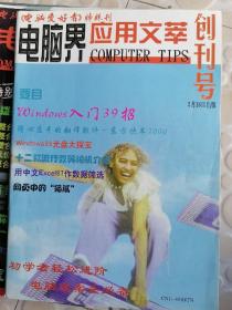 电脑界应用文莘创刊号