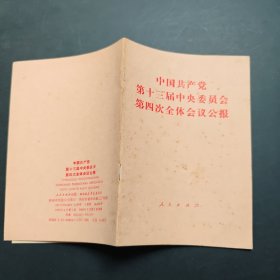中国共产党第十三届中央委员会第四次全体会议公报
