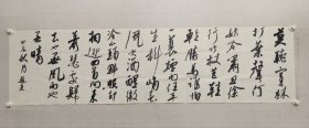 河北名家，秦皇岛市书协主席，赵亮六尺对开书法48*179cm，软片，（保真书画）。。