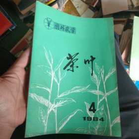 茶叶 1984年第4期