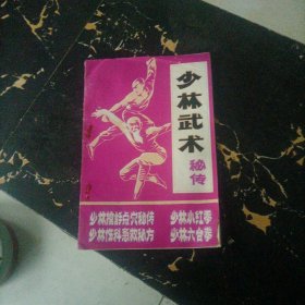 少林武术秘传