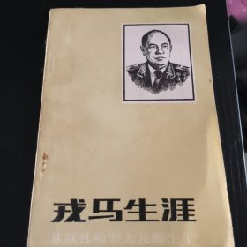 戎马生涯