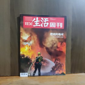 三联生活周刊 2025年第16期 燃烧的地球