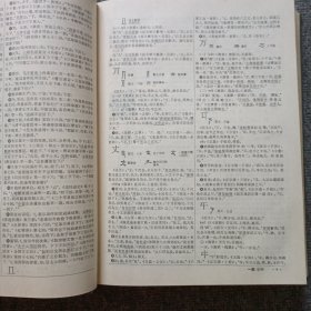 汉语大字典 （1）