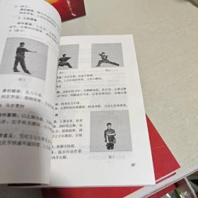 武术功夫统编教材【初级，中级，高级】全3册合售  库存书]