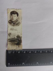 老照片 竖版