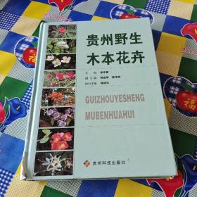 贵州野生木本花卉