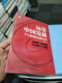 远望中国发展——十大领域的战略分析 中国式现代化行动指南 张国有