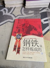 钢铁是怎样炼成的 上 俄罗斯现当代经典儿童文学大系