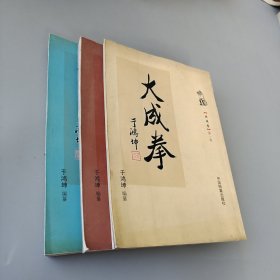 大成拳 全三卷