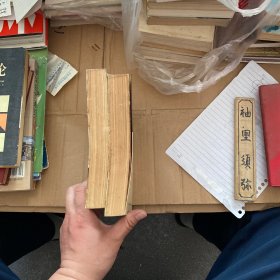 山菊花（上下）