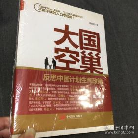 大国空巢：反思中国计划生育政策