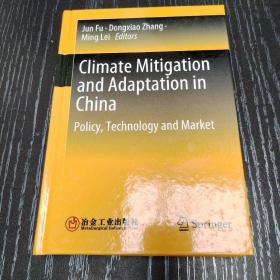 Climate Mitigation and Adaptation in China--Policy, Technology and Market