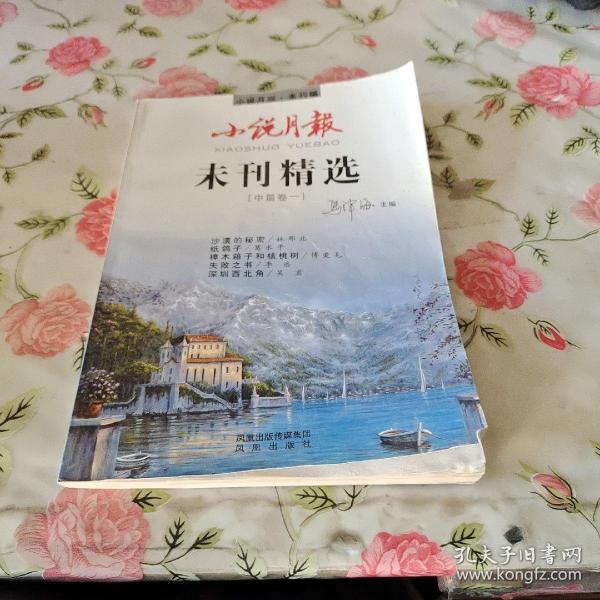 未刊精选：中篇卷（1）