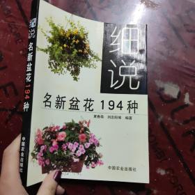 细说名新盆花194种