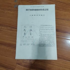 高中课本生物教学挂图——精子和卵细胞的形成过程（4-1）单张