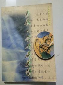 花季风校园系列丛书：《青春，不只是爱情》《美丽的哀伤》《心灵旧约》《落花的九月》《秋虹桥梦》《断了线的红风筝》《渡我过河》《编不尽的绿茵梦》全共8册 合售