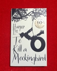 To Kill a Mockingbird 杀死一只知更鸟