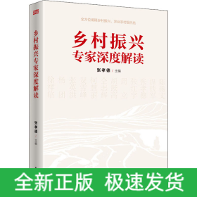 乡村振兴专家深度解读