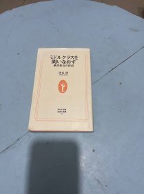 重新审视中产阶级的差距--社会的盲点。日文