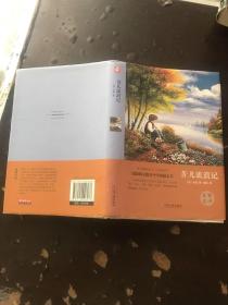 苦儿流浪记