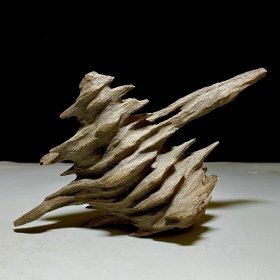 珍藏沉香木随型原木，27.5×17㎝ 重385克