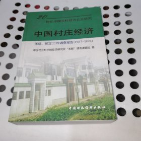 中国村庄经济:无锡、保定22村调查报告:1987～1998