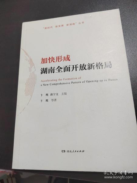 加快形成湖南全面开放新格局/“新时代新发展新湖南”丛书