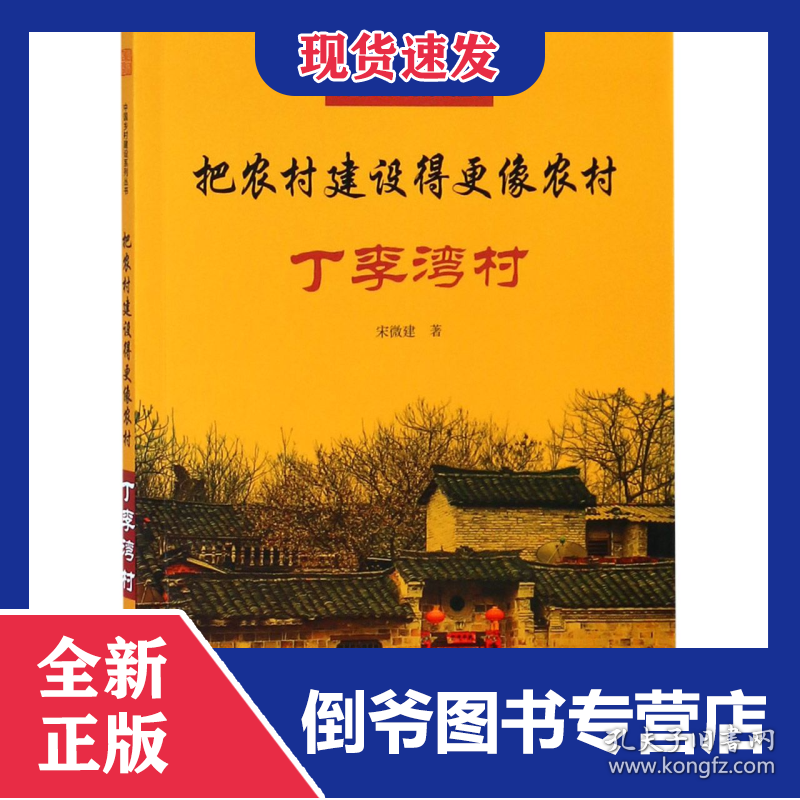 把农村建设得更像农村(丁李湾村)/中国乡村建设系列丛书