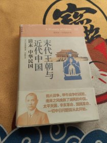 讲谈社·中国的历史10:末代王朝与近代中国