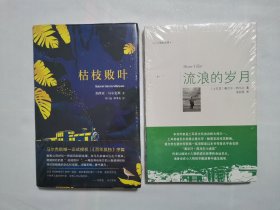 流浪的岁月 枯枝败叶 共2本