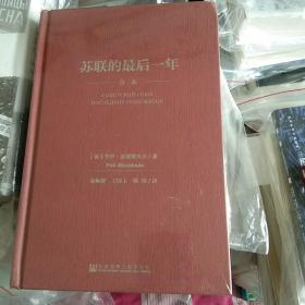 苏联的最后一年