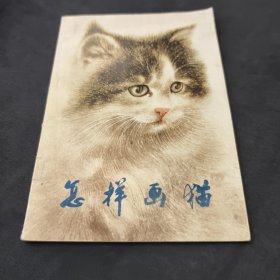 怎样画猫