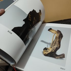 吴坤木雕作品集（精装本，仅印500册）客厅6-1