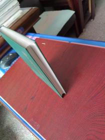 中国小城镇发展论