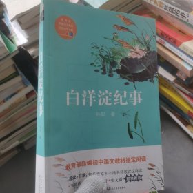 白洋淀纪事（教育部新编语文教材指定阅读书系）