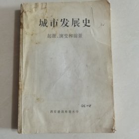 城市发展史：起源、演变和前景